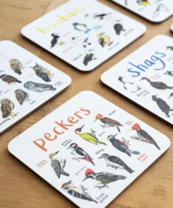 Set Of 6 Bird Pun Coasters