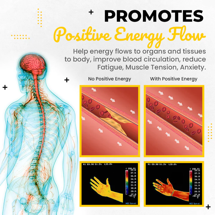 ZenAura Feng Shui Pi Xiu Obsidian Bracelet