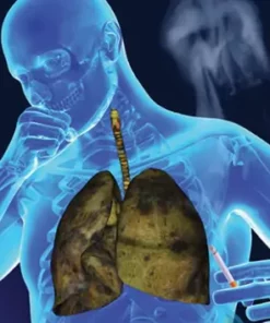 2023 Fit Sculpt Ice Silk Ion Fiber Repair Shaping Shorts