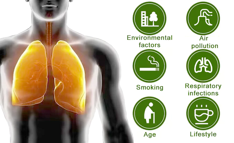 BLUESKY Lung Cleansing Patch