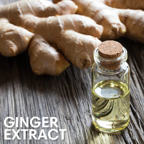 PacX Gynecomastia Firming Ginger Roller