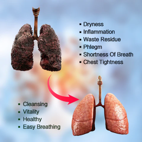 Cordyceps Sinensis Extract  Lung Clearing Drops  Clean & Breathe