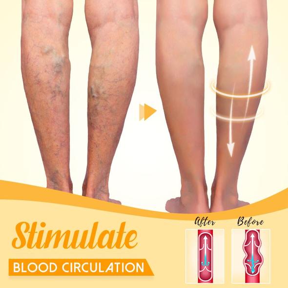 GrowX Plant Rooting Box