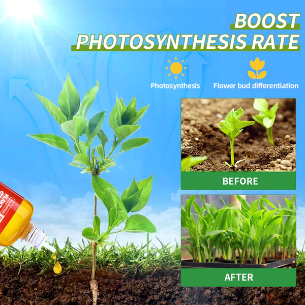 COROU HyperGrowth-Pro Plant Growth Hormone