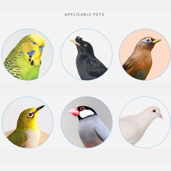 Electric Drill Chain Nail Gun Adapter