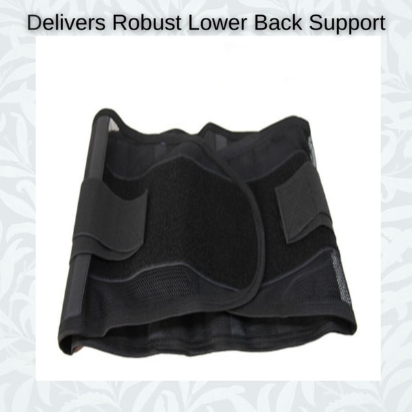EquiBrace Lower Back Brace