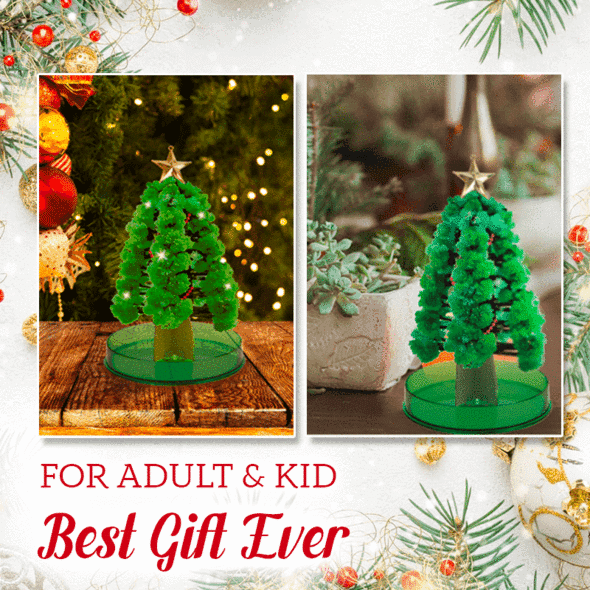 Double-sided Clothing Organiser