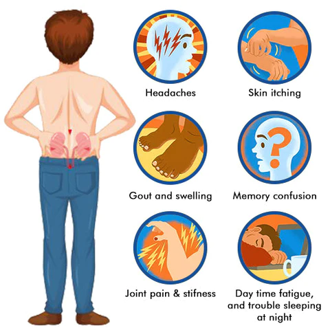 Juenow Powerful herbal drops for kidney support and uric acid cleansing