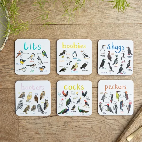 Set Of 6 Bird Pun Coasters