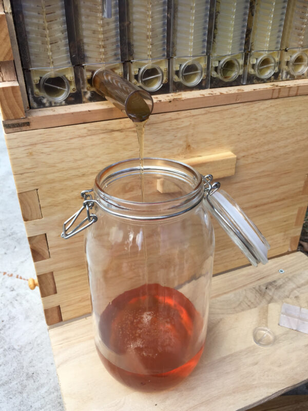 The Honey Sweet Hive