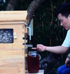 The Honey Sweet Hive