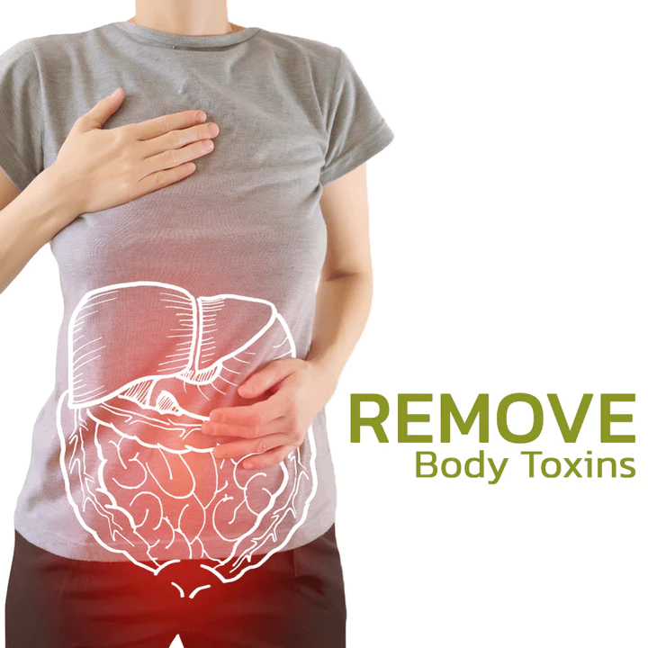 HerbalFusion Cellulite Targeting Patches