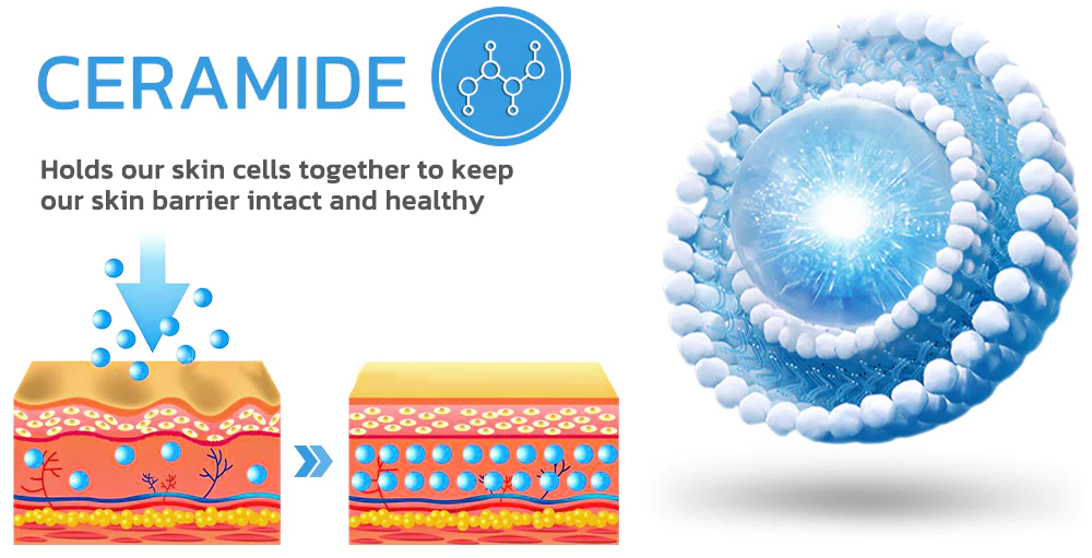 MsTimeless NMN Collagen Firming Gel