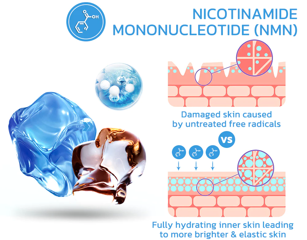 MsTimeless NMN Collagen Firming Gel