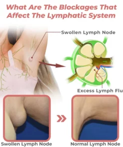 FlashingŽ LymphFlow Magnetogen Earrings