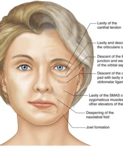 Ouhoe Korean Snail Collagen Lifting & Firming Cream