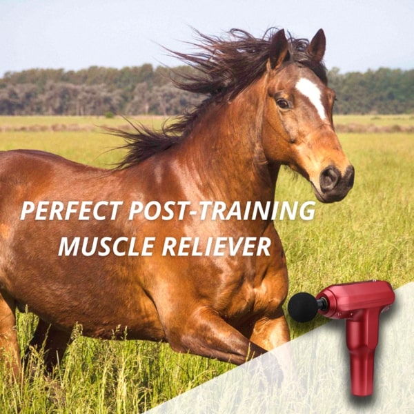 Equine+ Therapy Massager