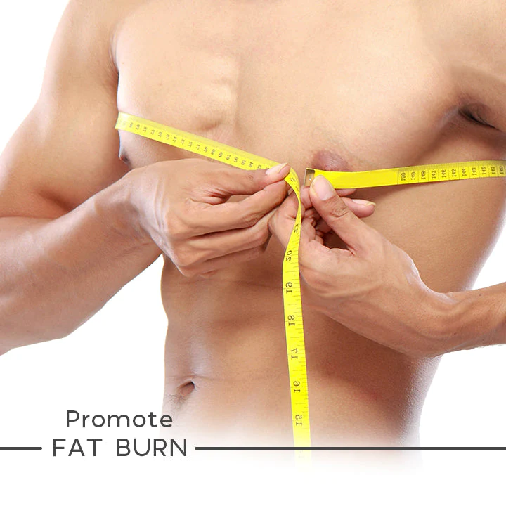 PecBuilder EMS Chest Trainer for Men