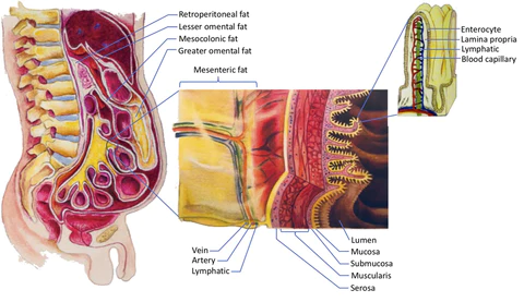 Ricpind AbsSculpting Firming Stimulator