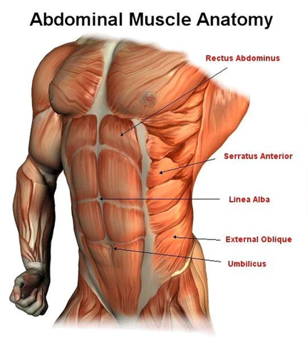 Ricpind AbsSculpting Firming Stimulator