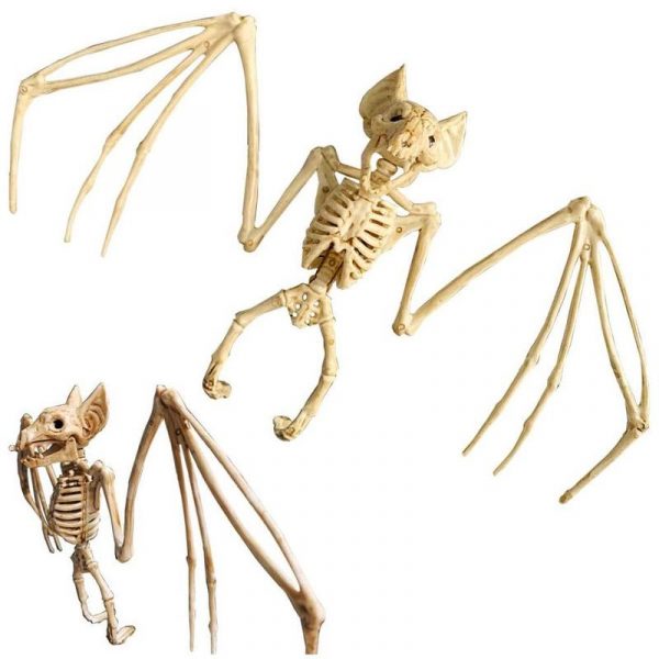 Animals Skeleton Ornament Decor