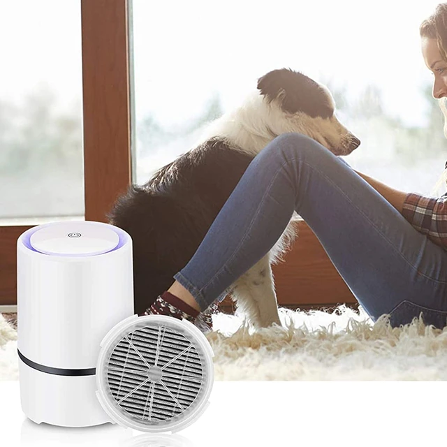 Solar Powered Bug Zapper