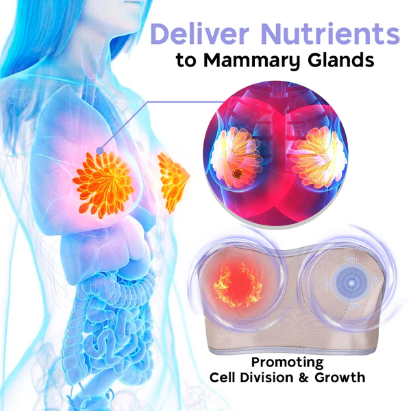 Liacsy CurvaUP Bust Amplifier