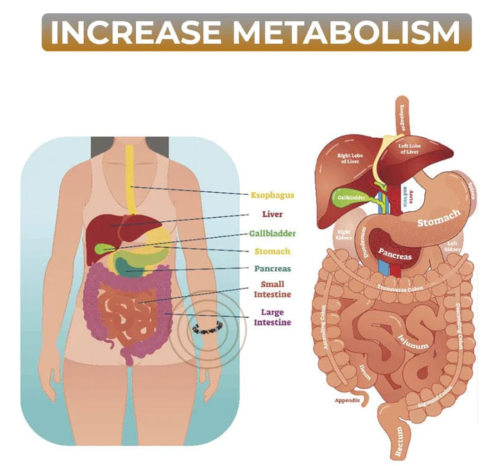 TigerEye Hematite Detox Therapy Bracelet