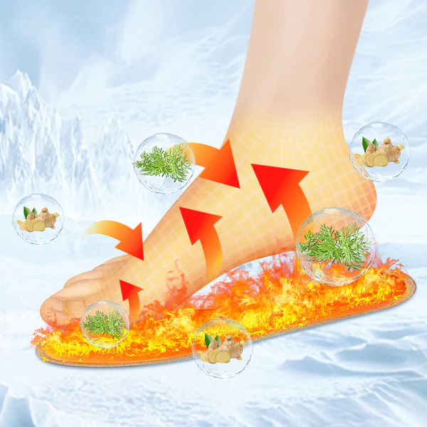 LuckySongŽ Regenerating Particles Self-Heating Mugwort Detox Insole