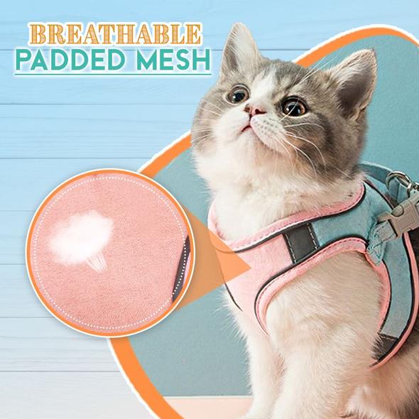 Luminous Escape-Proof Cat Vest Harness Set