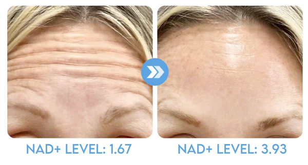 MsTimeless NMN Collagen Firming Gel