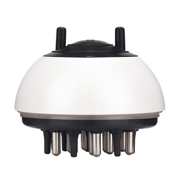 Massage With Hair Essential Oil Hair Comb