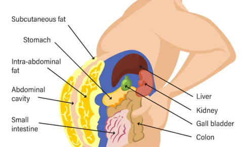 AAFQ Natural Detox & Body Sculpting Blood Sugar Drops PRO