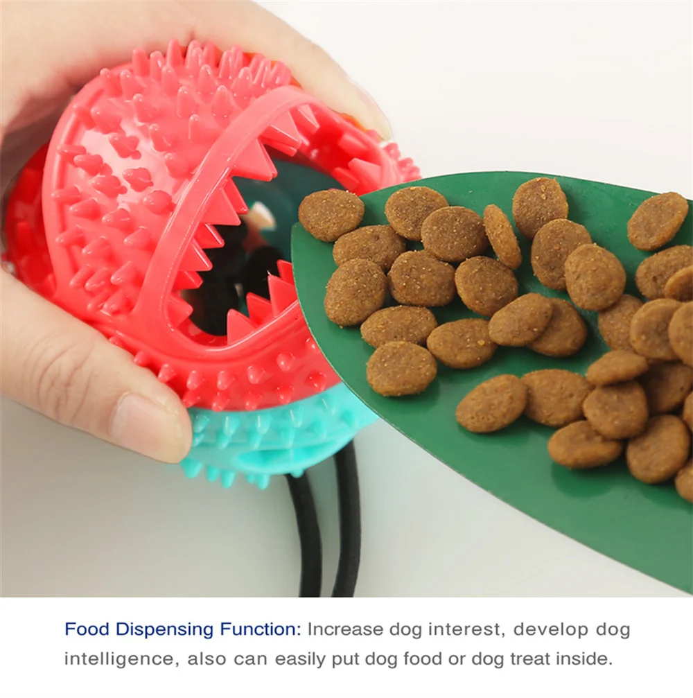 Dog Sucker Toy