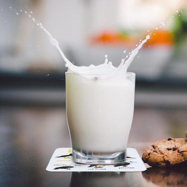 Set Of 6 Bird Pun Coasters