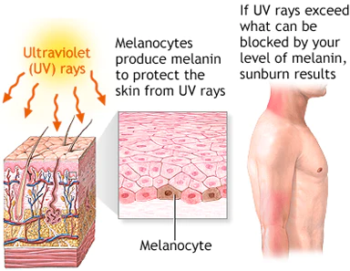 SUNLUXE Self-tanning Gel