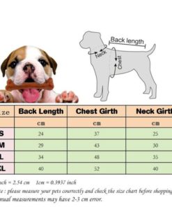 Halloween Spider Costume For Dogs