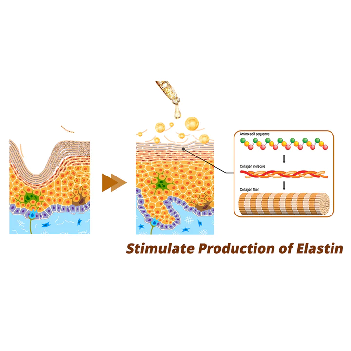 CC RevitaPeptide Reversal Serum