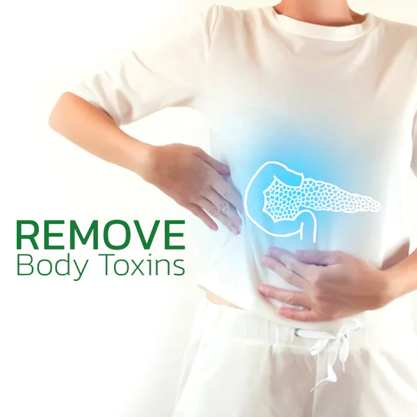 PureHealth Wormwood Body Detoxing Pads