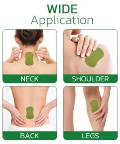 PureHealth Wormwood Body Detoxing Pads