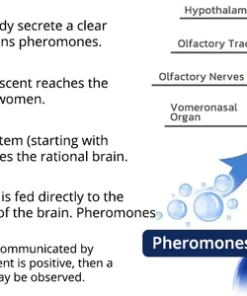 Oveallgo Untamed Seduction Eau de Toilette for Men (with Pheromones)