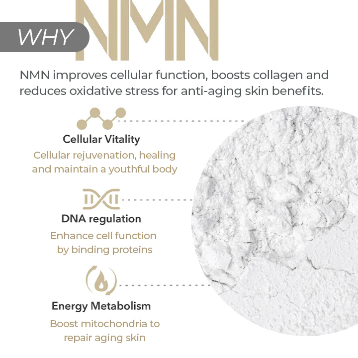CELLvolution NMN Boost Aging-Treatment Cream