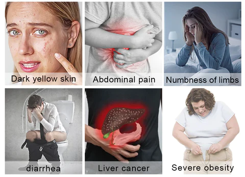 TinaHerbs PRO Milk Thistle & Cordyceps Sinensis Drops  Powerful Liver Support  Detox & Repair