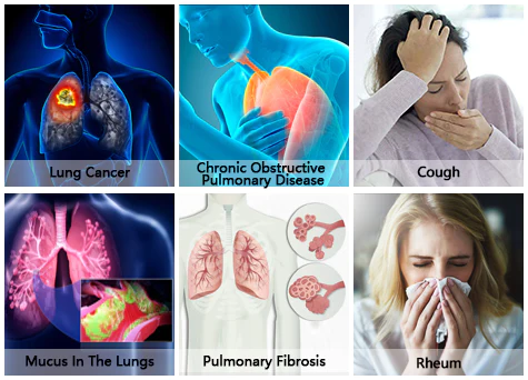 Cordyceps Sinensis Extract  Lung Clearing Drops  Clean & Breathe