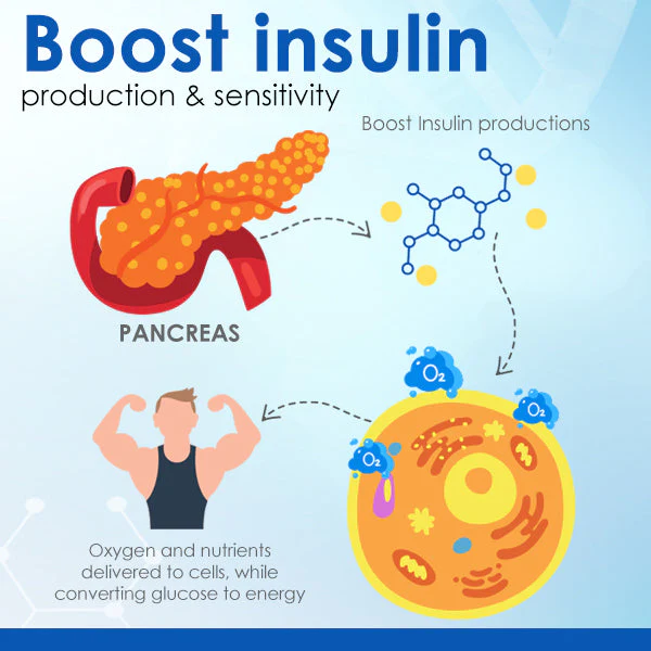 HealthMax Sugar Regulator Patch