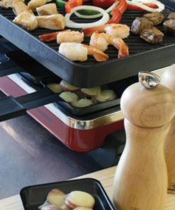 Electric Barbecue Grill