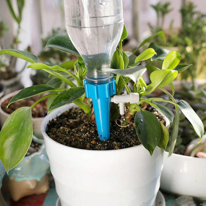 Watering System For Potted Plants